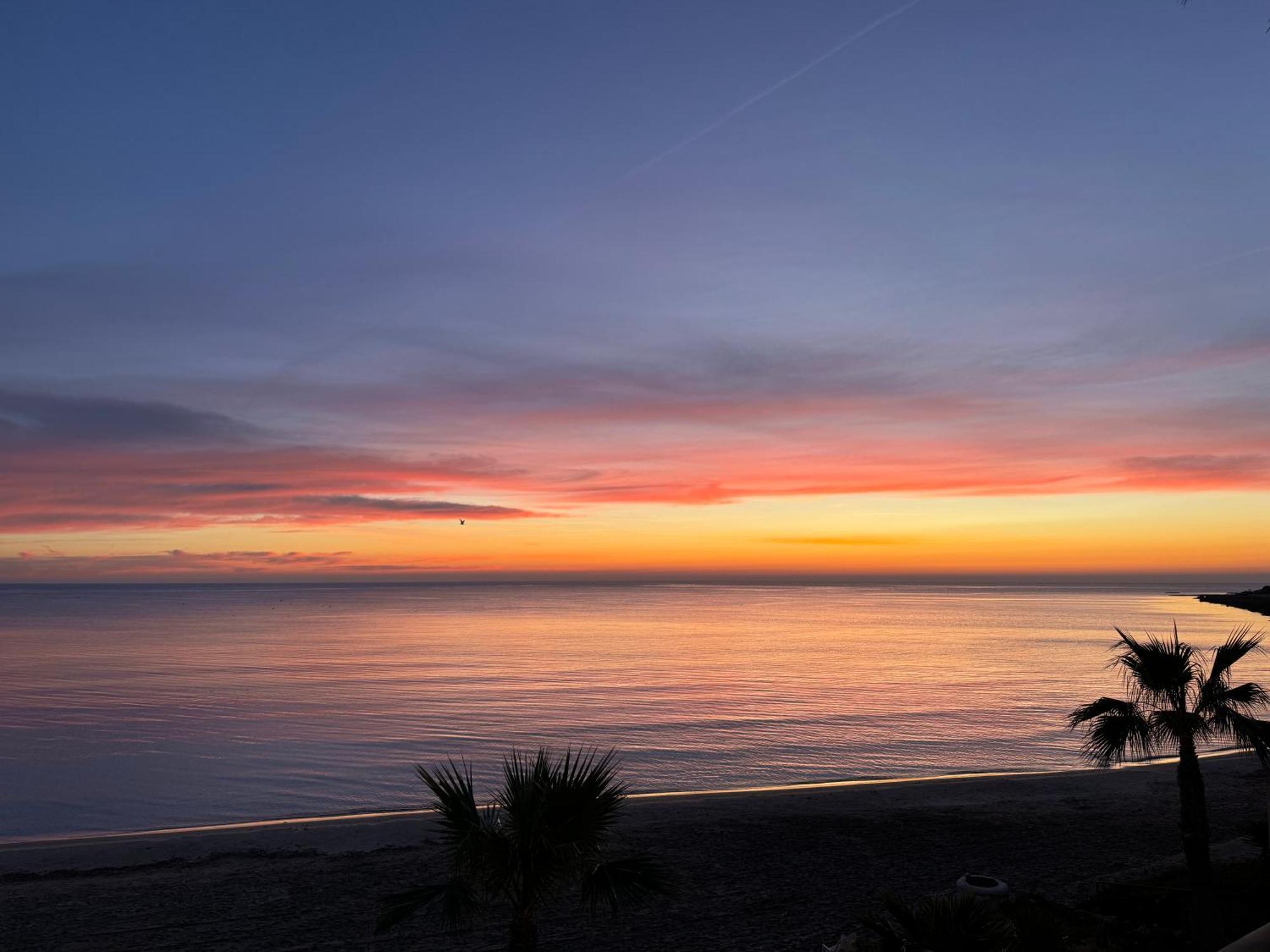 Excepcional Apartamento Loft A Pie De Playa En Chalet Roquetes Alicante Esterno foto
